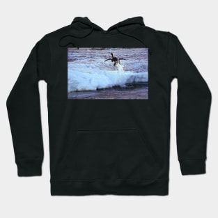 Emperor Penguin 'Flying' Home Hoodie